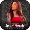 Smart Mosaic Photo Editor - Mo