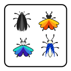 Bug Breeding icône
