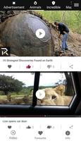 Viral Video ภาพหน้าจอ 2