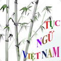 Tục ngữ Việt Nam