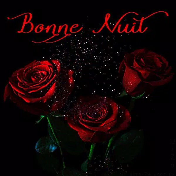 Bonjour Bonsoir Amour Gif Apk Pour Android Telecharger