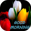 Good morning Flower Images Colorful Roses 4K
