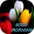 Good morning Flower Images Colorful Roses 4K ikona