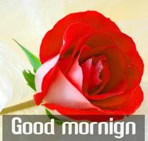 Good morning Flower Images Colorful Roses 4K screenshot 1