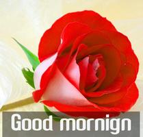 Good morning Flower Images Colorful Roses 4K Screenshot 1