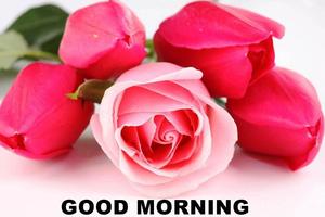 2 Schermata Good morning Flower Images Colorful Roses 4K