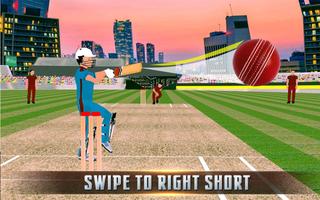 Play Cricket 2017 স্ক্রিনশট 2