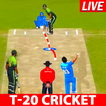 World T-20 Cricket Match Game 아이콘