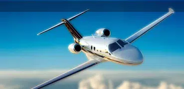 Flight Fly Sim