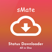 sMate All in one status Video 