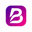 Bizzy Bills NG icon