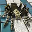 Futuristic Spider Robot Transf
