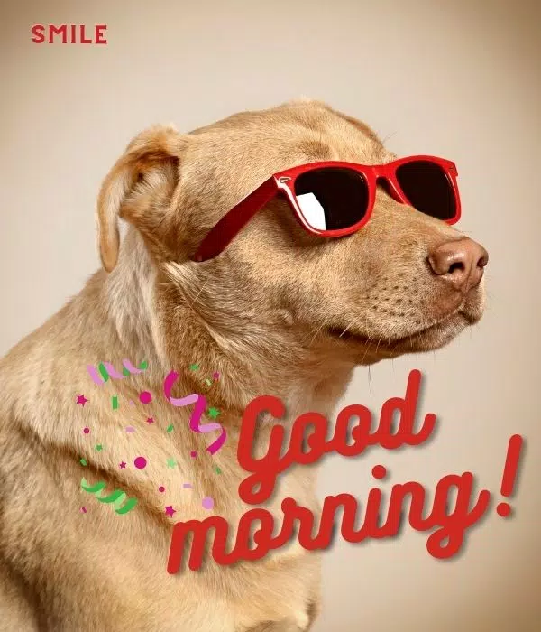 Tải xuống APK Good Morning Cute cho Android Tải xuống APK Good Morning Cute cho Android