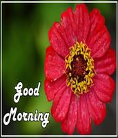 Good Morning Flowers Affiche