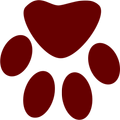 Pets Smiling
