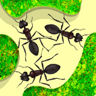 Granja de hormigas icono