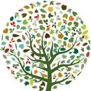 Plants Game Scientific Name APK