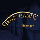 Stegschandl APK