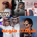 شيلات منوعه 2023 بدون نت APK