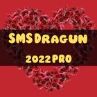 SMS Dragun 2022 PRO icône