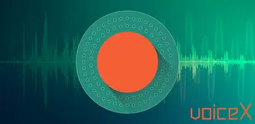 Diktaphon - Voice Recorder