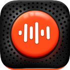 Voice Recorder Pro - VoiceX ikon