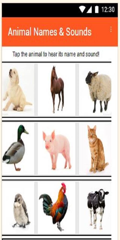Animal Names & Sounds APK for Android Download Animal Names & Sounds APK for Android Download