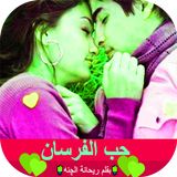 روايه حب الفرسان ícone