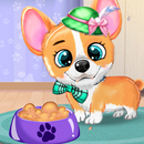 Corgi Animal de compagnie Garderie Bébé Chiot Gard APK