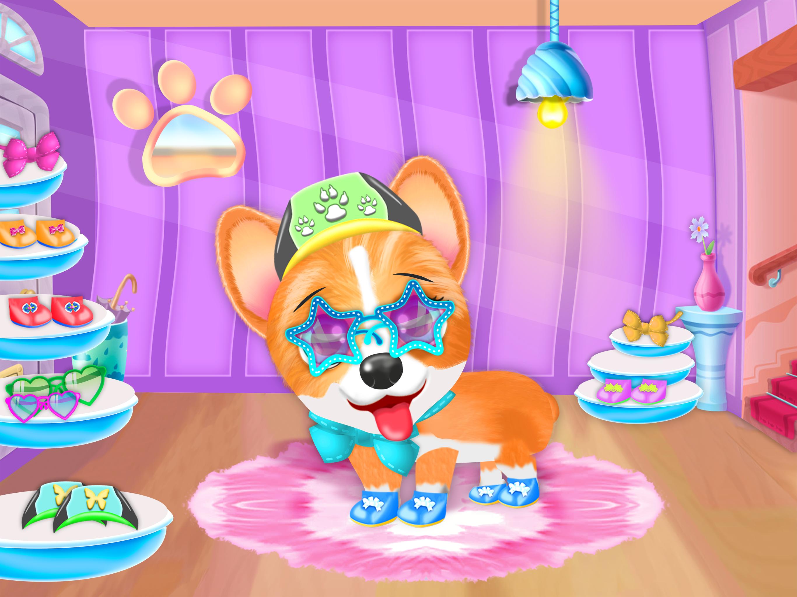 Corgi Pet Daycare Baby Puppy Nursery For Android Apk Corgi Pet Daycare Baby Puppy Nursery
