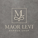 Maor Levi APK