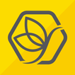 SMYLEAN icon