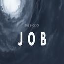 The Ancient Book of Job Audio APK