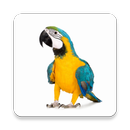 Dieren leren APK