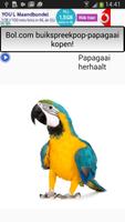 De Papagaai 截图 1