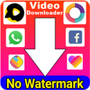 All Social Video Downloader Without watermark APK