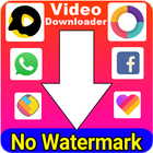 All Social Video Downloader Without watermark icône