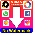 All Social Video Downloader Without watermark आइकन