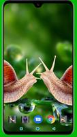Snail Wallpaper Affiche