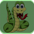Snake Duo - New Snake Games