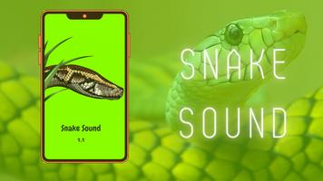 Snake Sounds Affiche
