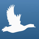 Bird Quiz: Aves Europe APK