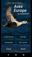 Little Bird Quiz: Aves Europe Cartaz