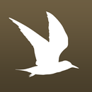 APK Bird List: Aves Tellus