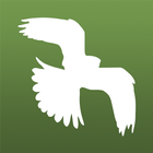 Bird Guide: Aves Europe ikon