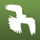 Bird Guide: Aves Europe أيقونة