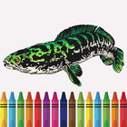 Snakehead Fish Coloring Book icon