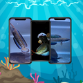 HD Snakehead Fish Wallpapers