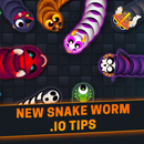 Tips Snake Zone Worm io 2020 : New Skins Updated APK