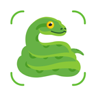Snake Identifier icône